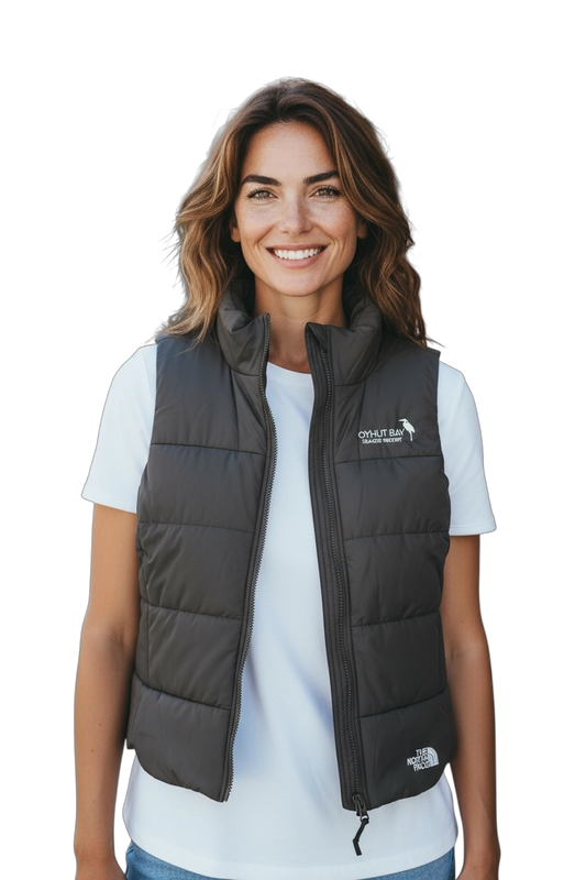 The North Face Everyday Insulated Women’s Vest
